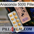 Anaconda 5000 Pill 41
